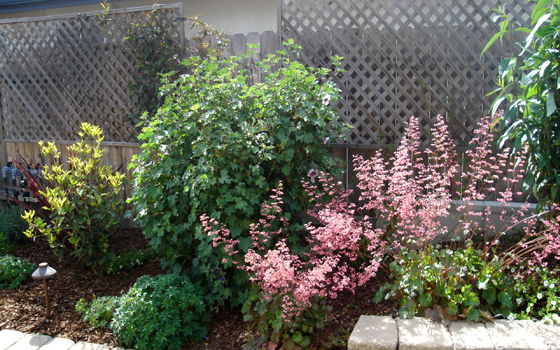 04-6